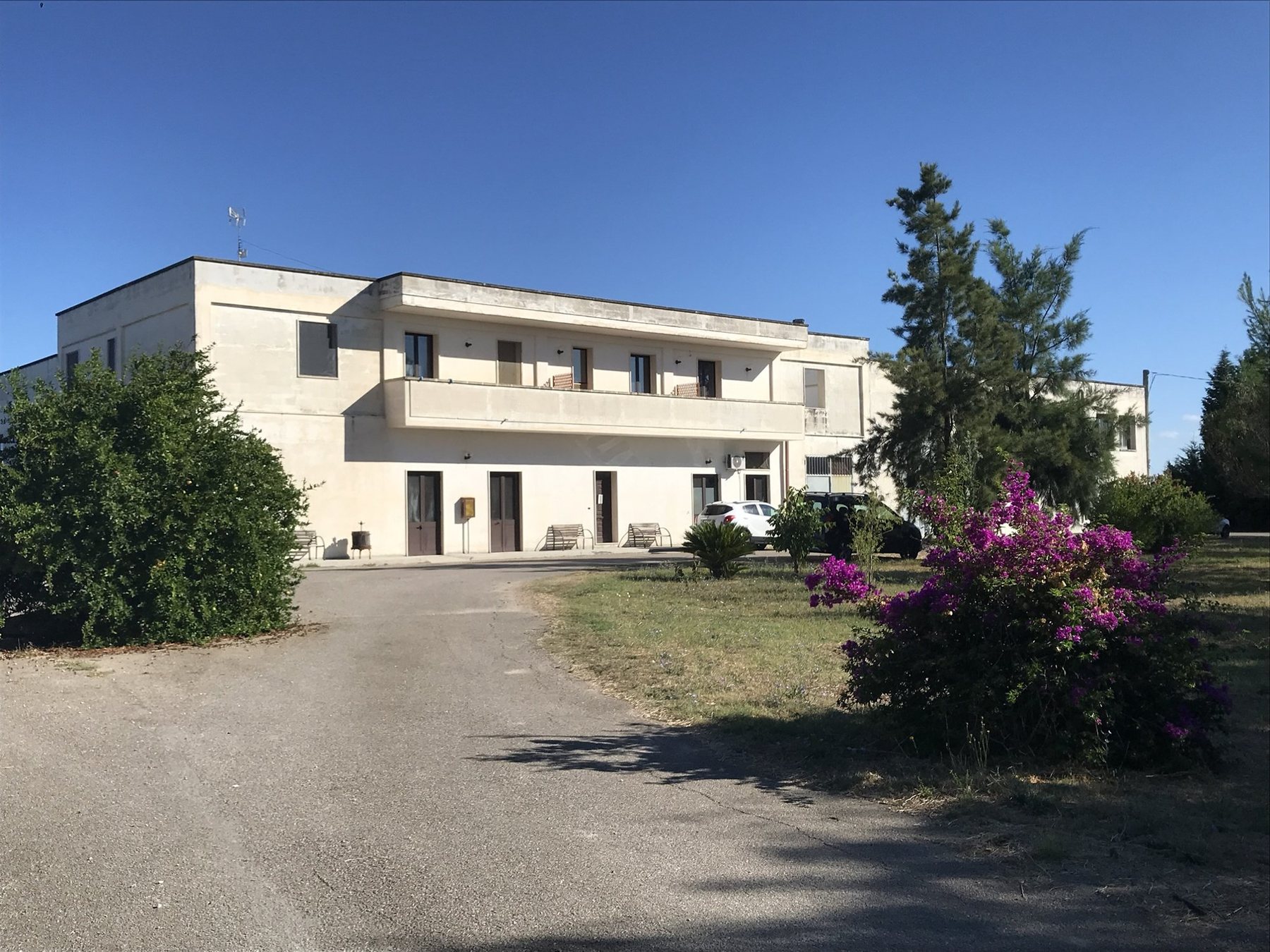 La cantina Attanasio a Copertino con la buganvillea in fiore