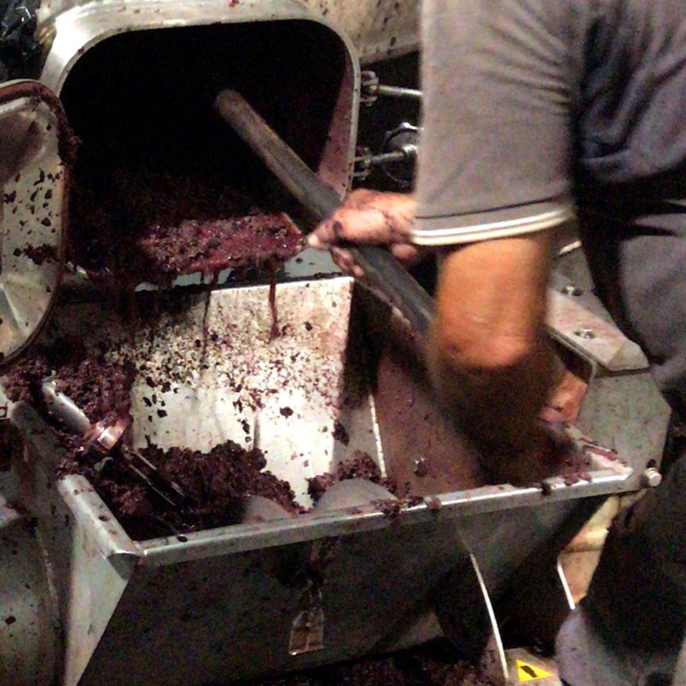 La svinatura: le vinacce estratte a mano dal serbatoio